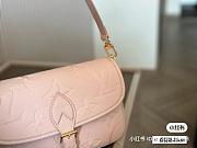 Louis Vuitton Diane Sand Color Bag  - 5