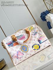 Louis Vuitton Speedy Soft 30  Gaston - 21 x 17 x 30cm - 6