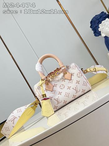 Louis Vuitton Speedy Monogram Mini 