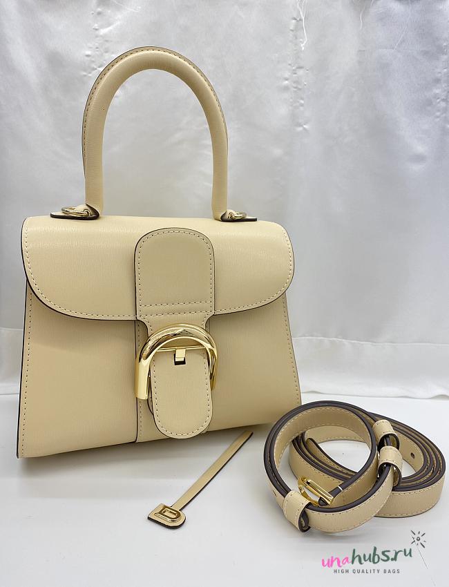 Delvaux  Brillant leather mini bag 20*11*16cm - 1