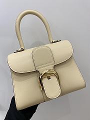 Delvaux  Brillant leather mini bag 20*11*16cm - 4