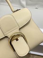 Delvaux  Brillant leather mini bag 20*11*16cm - 2