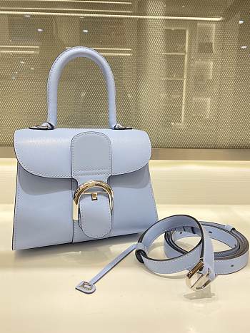 	 Delvaux Brillant leather mini blue bag 20*11*16cm