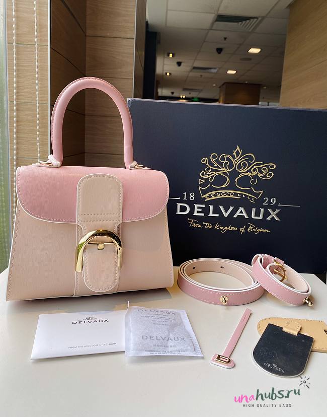 	 Delvaux Brillant leather mini pink bag 20*11*16cm - 1