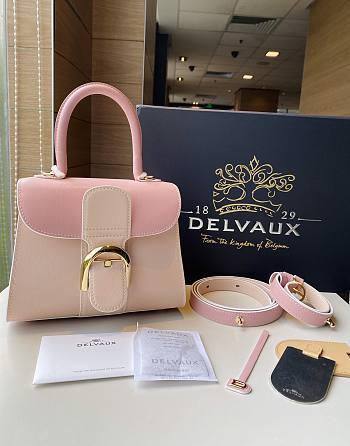 	 Delvaux Brillant leather mini pink bag 20*11*16cm