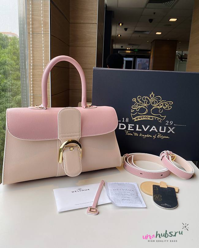 Delvaux Brillant East West leather pink bag 28/12/15cm - 1