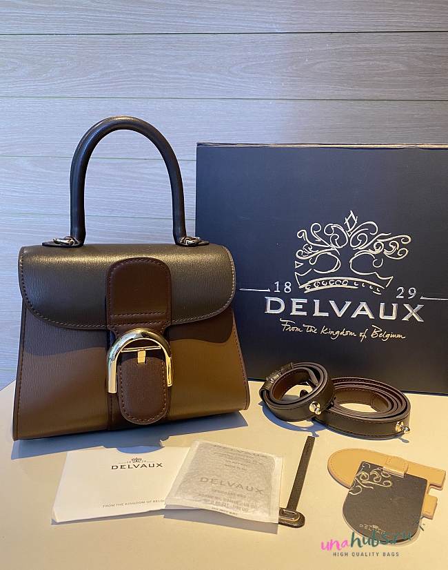 Delvaux Brillant leather mini brown color bag 20*11*16cm - 1