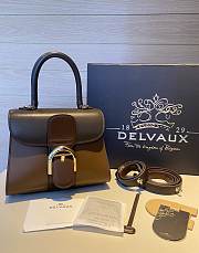 Delvaux Brillant leather mini brown color bag 20*11*16cm - 1