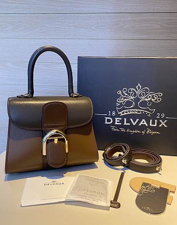 Delvaux Brillant leather mini brown color bag 20*11*16cm