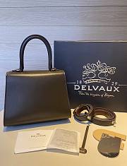 Delvaux Brillant leather mini brown color bag 20*11*16cm - 3