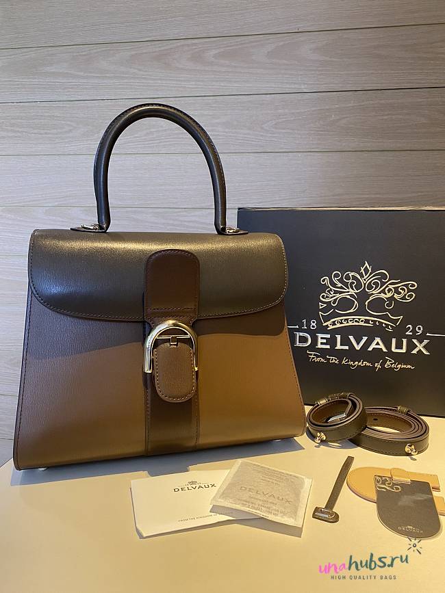 	 Delvaux Brillant leather brown bag 28/14/22cm - 1