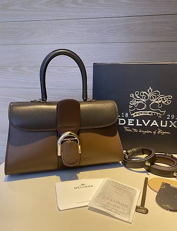 	 Delvaux Brillant East West leather Brown bag 28/12/15cm