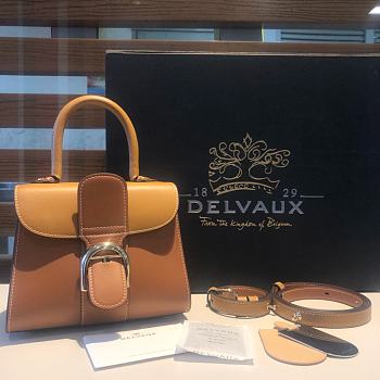 Delvaux Brillant leather mini light brown bag 20*11*16cm