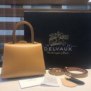 Delvaux Brillant leather mini light brown bag 20*11*16cm - 3