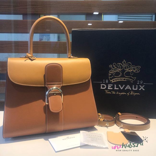 	 Delvaux Brillant leather light brown bag 28/14/22cm - 1