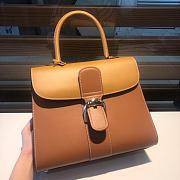 	 Delvaux Brillant leather light brown bag 28/14/22cm - 2