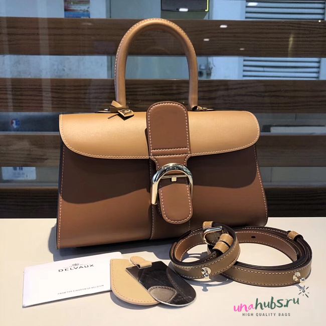 Delvaux Brillant East West leather Light Brown bag 28/12/15cm - 1