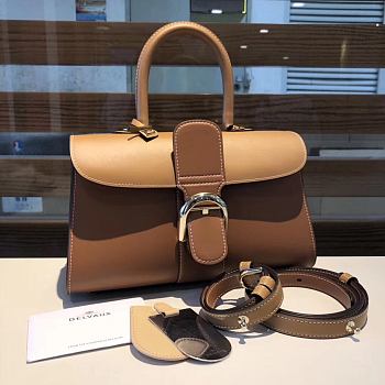 Delvaux Brillant East West leather Light Brown bag 28/12/15cm