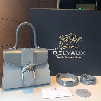 	 Delvaux Brillant leather mini grey color bag 20*11*16cm