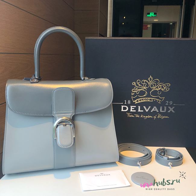 	 Delvaux Brillant leather grey bag 28/14/22cm - 1