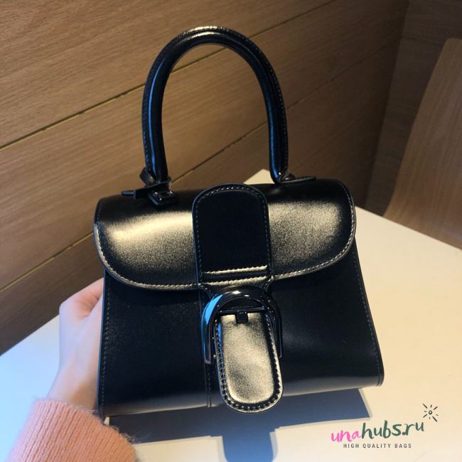 	 Delvaux Brillant leather mini black color bag 20*11*16cm - 1