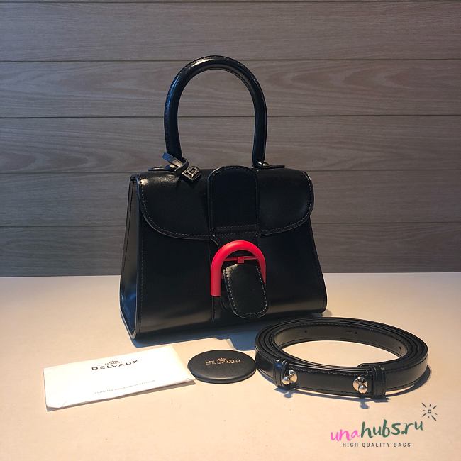 	 Delvaux Brillant leather mini black bag 20*11*16cm - 1
