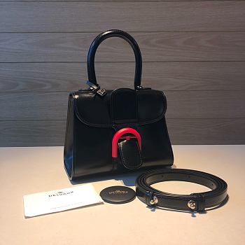 	 Delvaux Brillant leather mini black bag 20*11*16cm