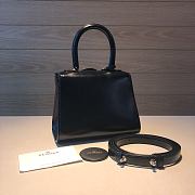 	 Delvaux Brillant leather mini black bag 20*11*16cm - 3