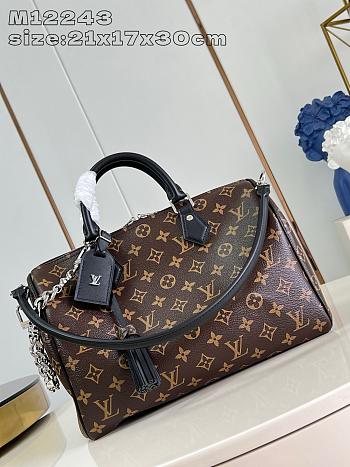 louis Vuitton Speedy Soft 30 Dark