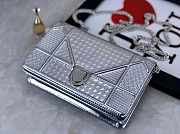 Diorama Silver&Gold Shoulder Bag - 19cm - 1