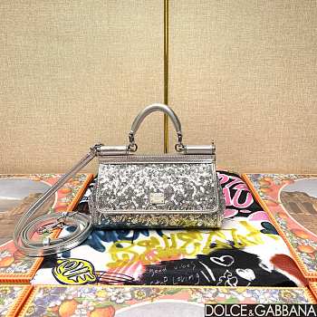 Dolce & Gabbana Small Silicy Silver Sequins Handbag -18*11*6cm