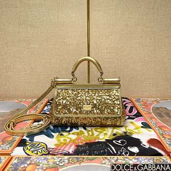 	 Dolce & Gabbana Small Silicy Gold Sequins Handbag -18*11*6cm