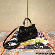 	 Dolce & Gabbana Small Silicy Black Sequins Handbag -18*11*6cm - 2