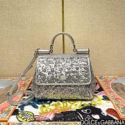 	 Dolce & Gabbana Silicy Silver Sequins Handbag - 20*16*8cm - 1