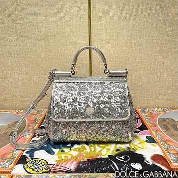 	 Dolce & Gabbana Silicy Silver Sequins Handbag - 20*16*8cm