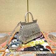 	 Dolce & Gabbana Silicy Silver Sequins Handbag - 20*16*8cm - 5