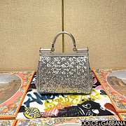 	 Dolce & Gabbana Silicy Silver Sequins Handbag - 20*16*8cm - 6