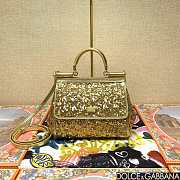 	 Dolce & Gabbana Silicy Gold Sequins Handbag - 20*16*8cm - 1