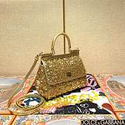 	 Dolce & Gabbana Silicy Gold Sequins Handbag - 20*16*8cm - 3