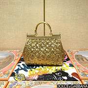 	 Dolce & Gabbana Silicy Gold Sequins Handbag - 20*16*8cm - 2