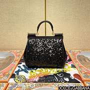 	 Dolce & Gabbana Silicy Black Sequins Handbag - 20*16*8cm - 2