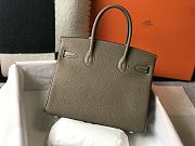 Hermes Birkin 25cm Togo Leather In Taupe Silver Hardware - 4