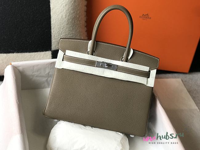 Hermes Birkin 25cm Togo Leather In Taupe Silver Hardware - 1