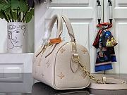 Louis Vuitton Speedy Bandoulière 20 Eden Color - 13.5 x 12 x 20.5cm - 4