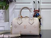 Louis Vuitton Speedy Bandoulière 20 Eden Color - 13.5 x 12 x 20.5cm - 2