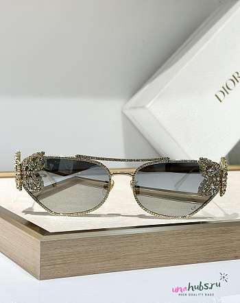 Dior DiorFantastica Sunglasses