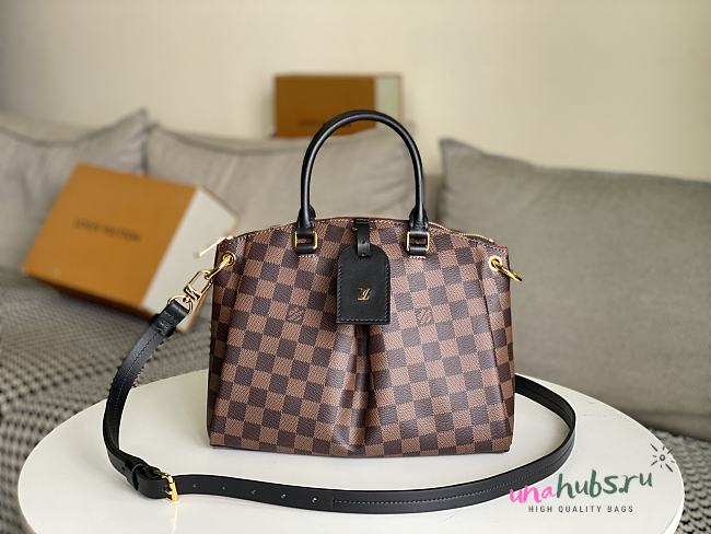 Louis Vuitton Odéon Tote PM - 25.0 x 23.0 x 14.0cm - 1