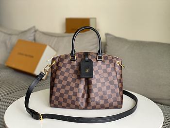 Louis Vuitton Odéon Tote PM - 25.0 x 23.0 x 14.0cm