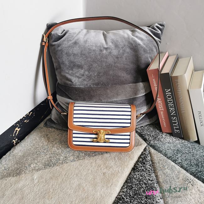 	 Celine Triumph Canvas Handbag White in Canvas - 22.5-16.5-7.5cm - 1