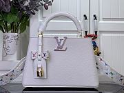 	 Louis Vuitotn x TM Capucines BB - 17.3 x 9 x 27cm - 1